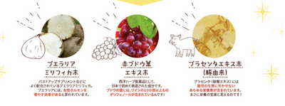 スクリーンショット 2017-07-23 13.47.16.png